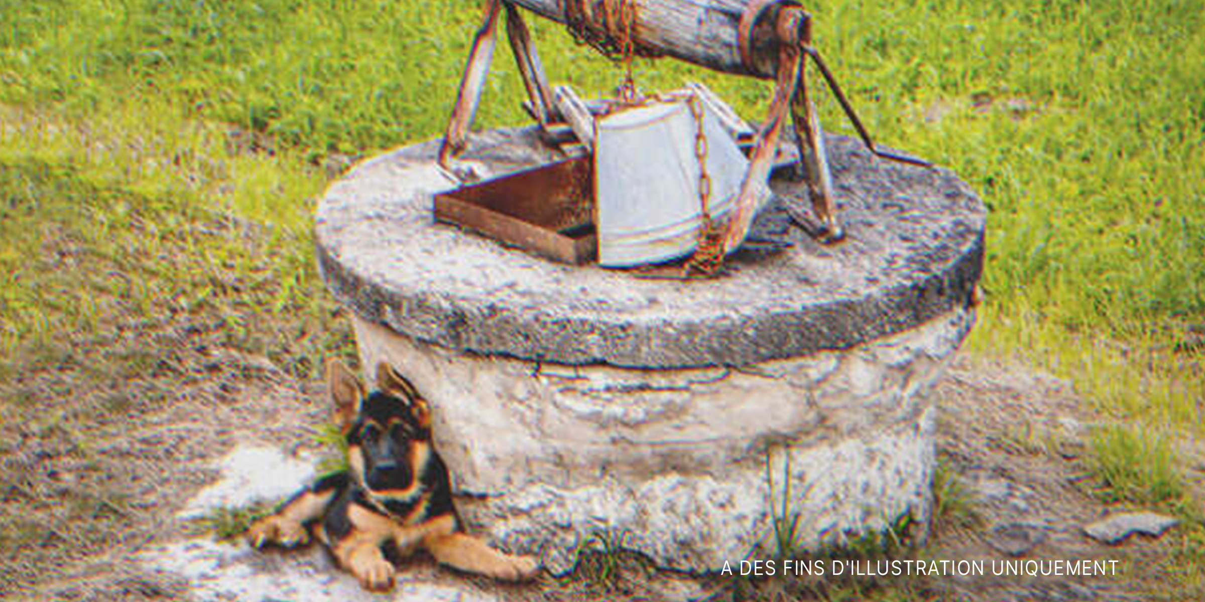 Un chiot assis près d'un puits. | Source : Getty Images