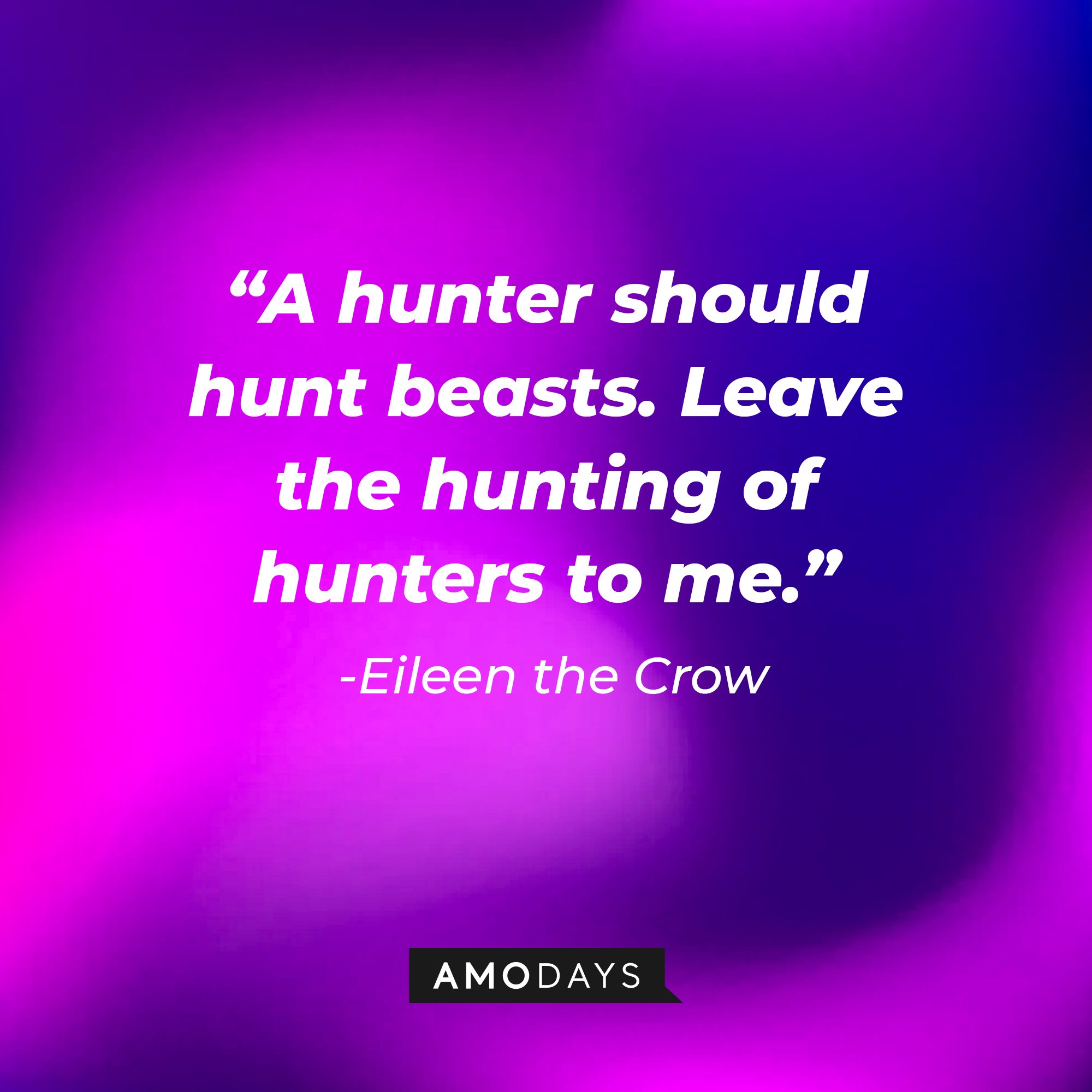  Eileen the Crow’s quote: "A hunter should hunt beasts. Leave the hunting of hunters to me." | Image: AmoDays