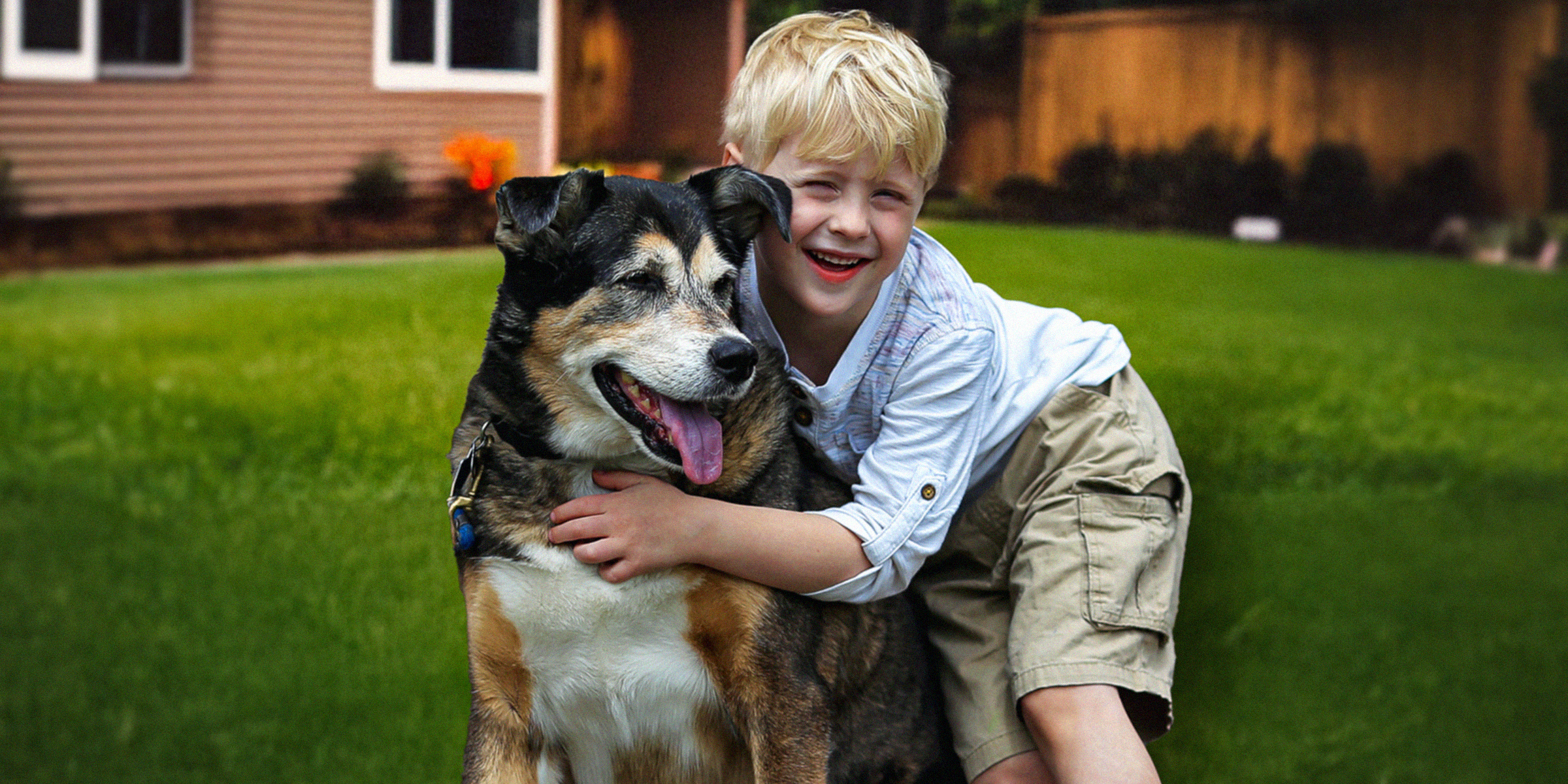 A boy and his dog | Source: Shutterstock