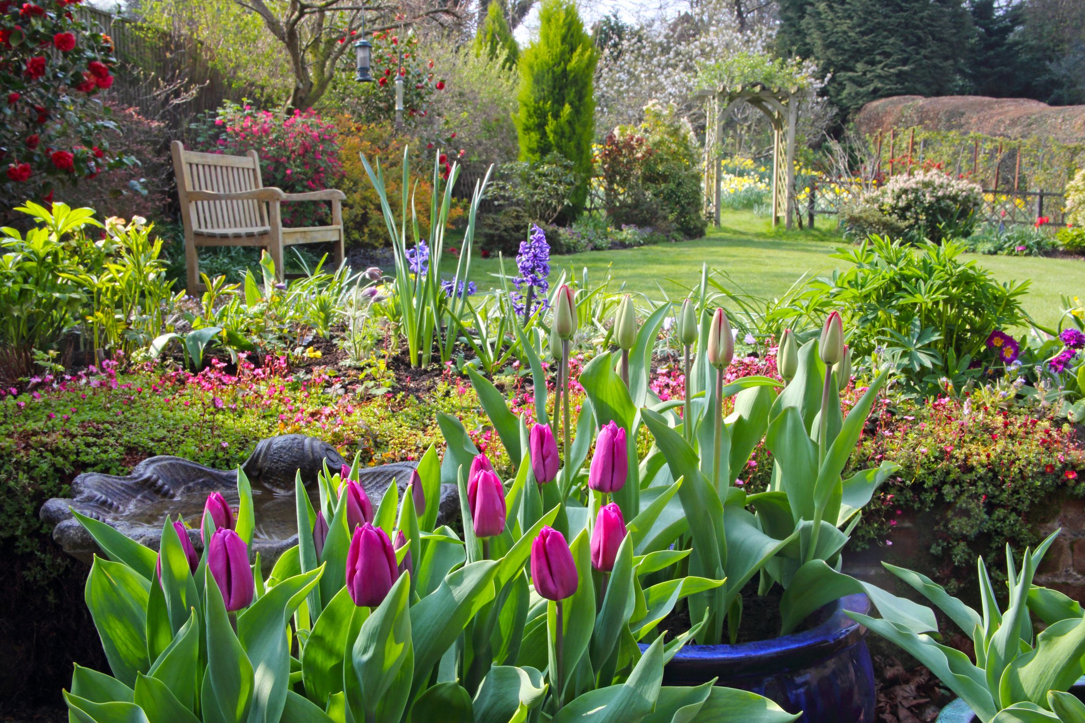 English country garden in spring with pots of tulips on the patio, flowers in the borders, flowering shrubs, a rose arch and a garden seat on the lawn, Haslemere, Surrey, England, UK. | Photo: Getty Images