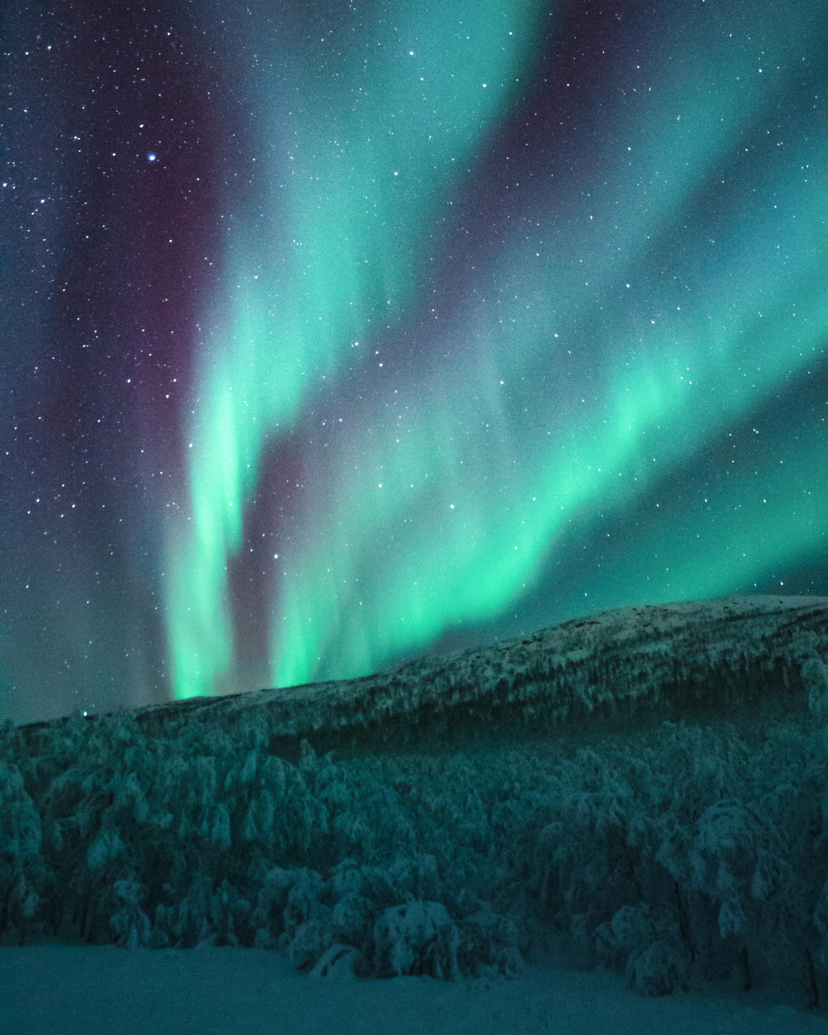 The northern lights | Source: Pexels