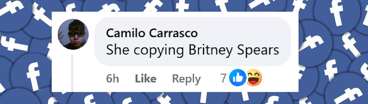A netizen's reaction to Sabrina Carpenter's appearance at the VMAs, from a post dated September 8, 2025 | Source: Facebook/MT