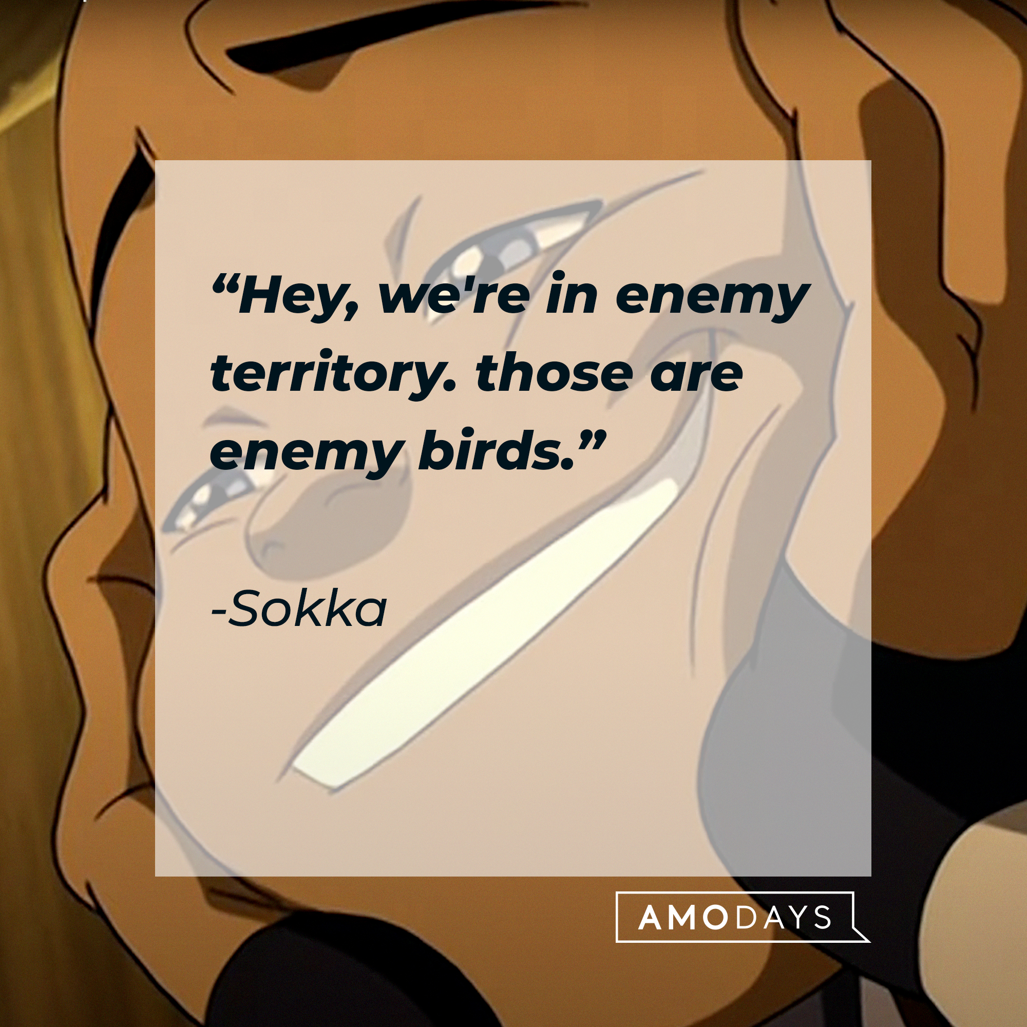 Sokka, with his quote: "Hey, we're in enemy territory. Those are enemy birds." | Source: Youtube.com/TeamAvatar