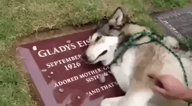 Source: YouTube
