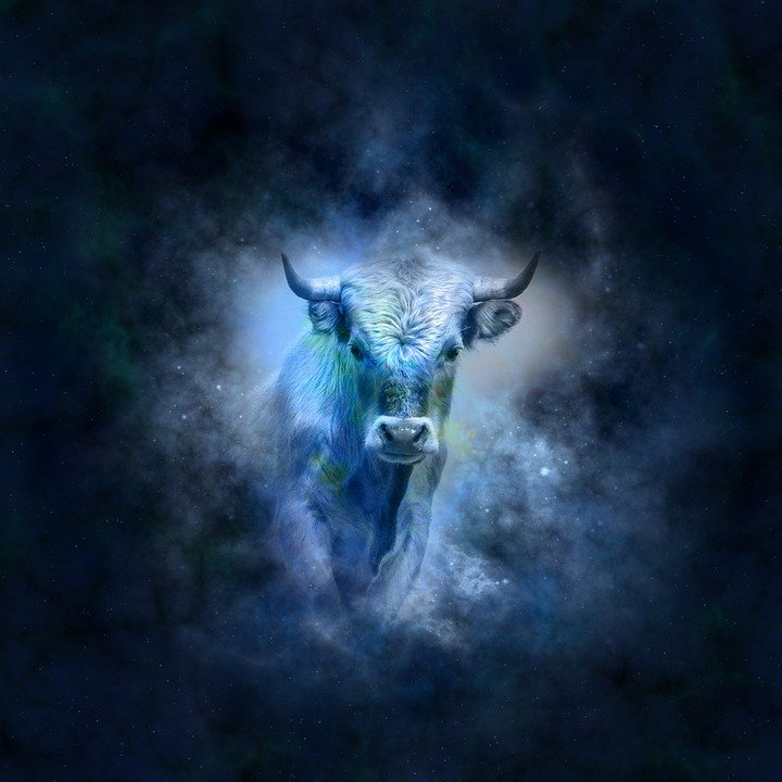 Signo de Tauro. | Foto: Pixabay Signo de Tauro. | Foto: Pixabay