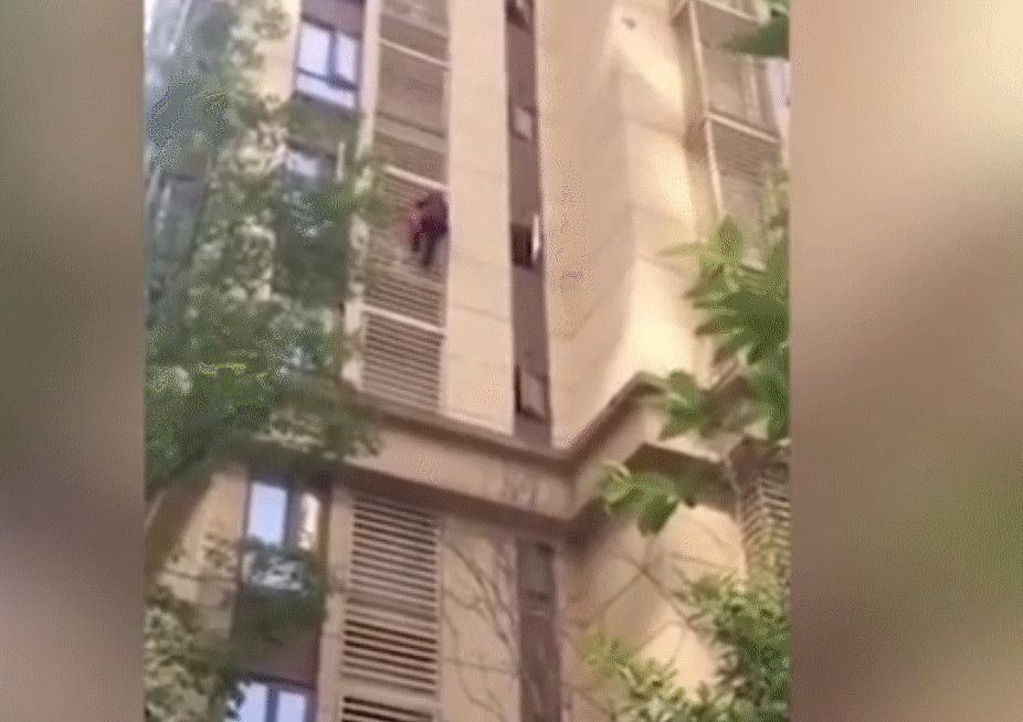 La vieille femme descendant la facade de l'immeuble. l Source: YouTube/Keanu Reeves-Official