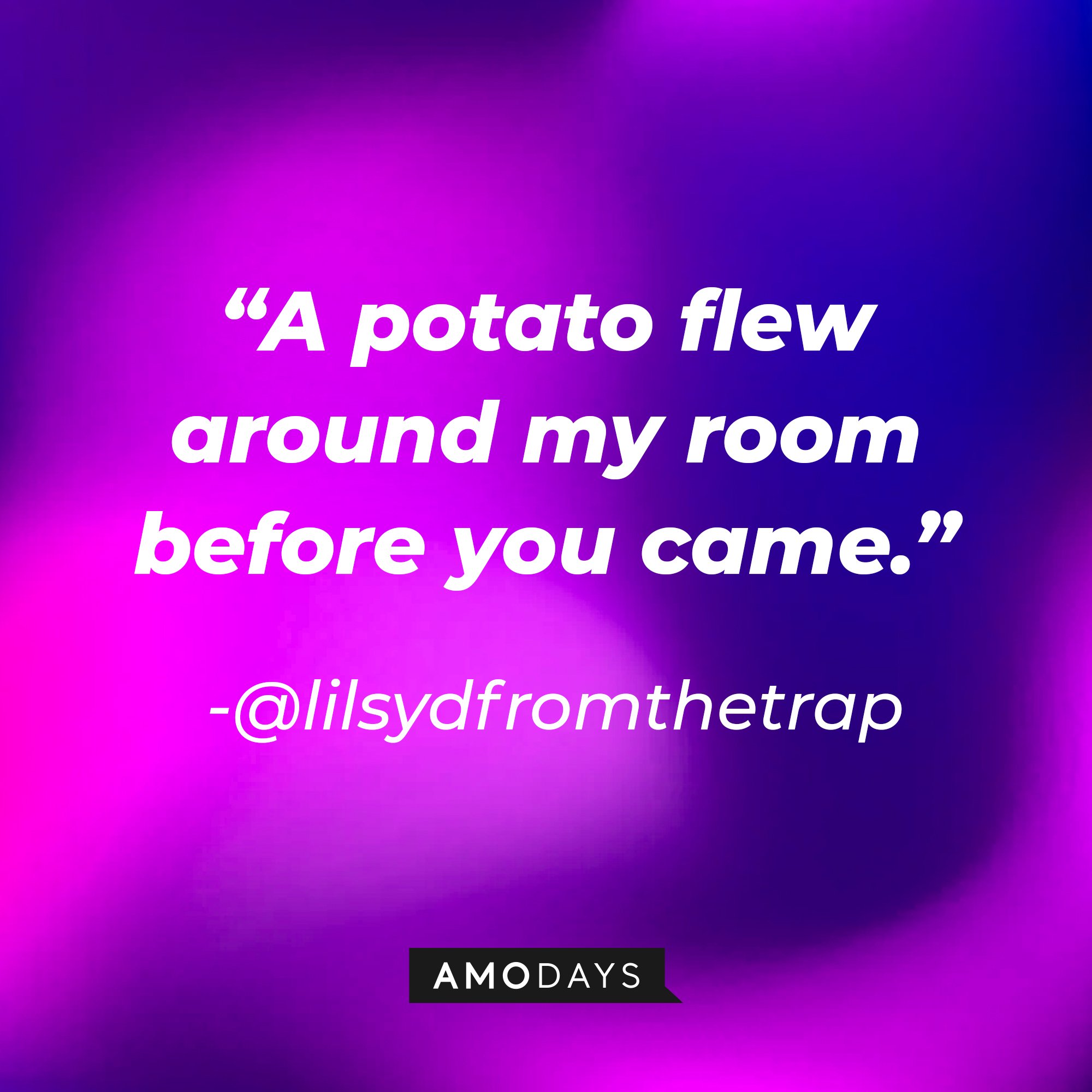 @lilsydfromthetrap's quote: “A potato flew around my room before you came.” | Image: AmoDays