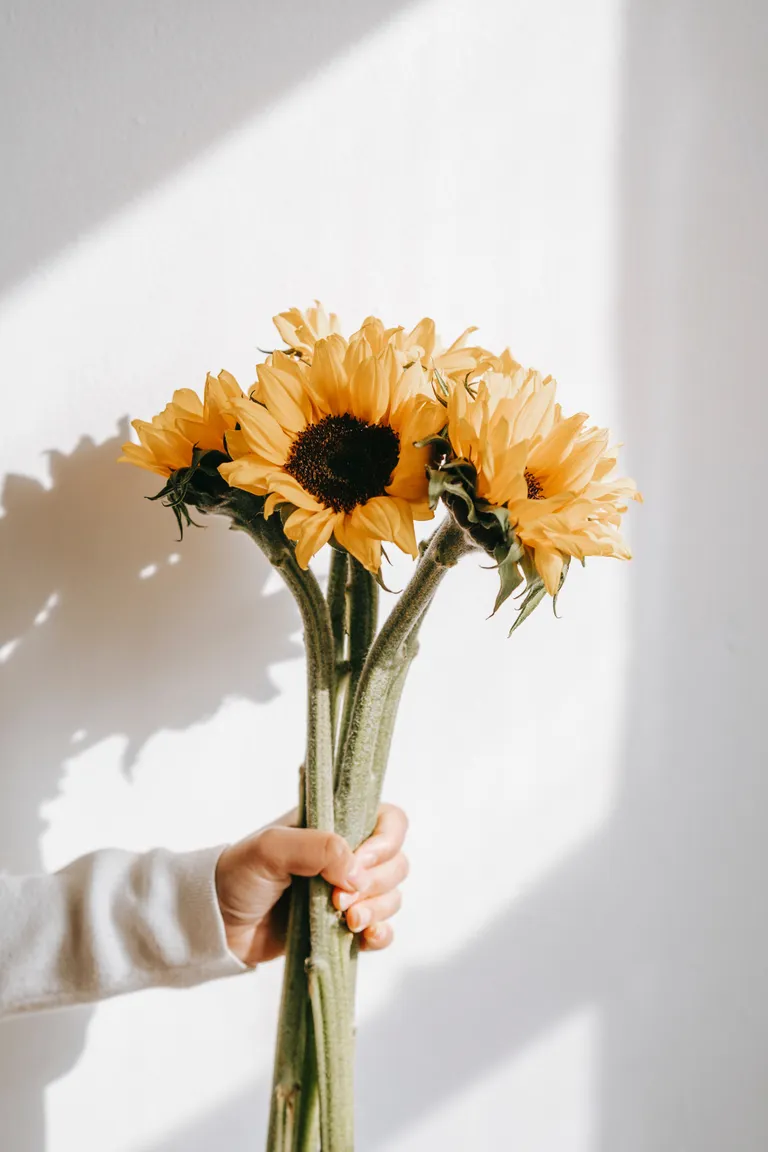 Josh a essayé de m'inciter à rester avec lui en m'offrant des fleurs | Photo : Pexels