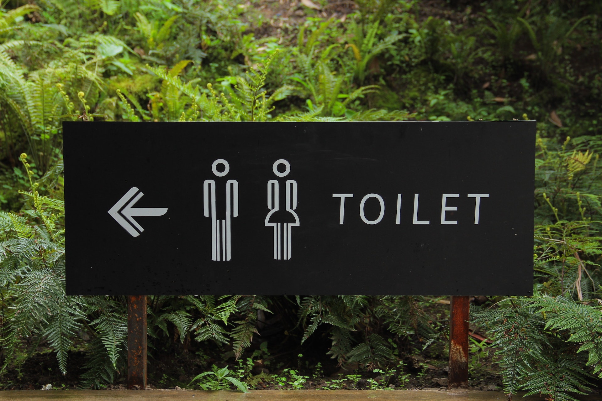 A toilet signboard | Source: Pexels