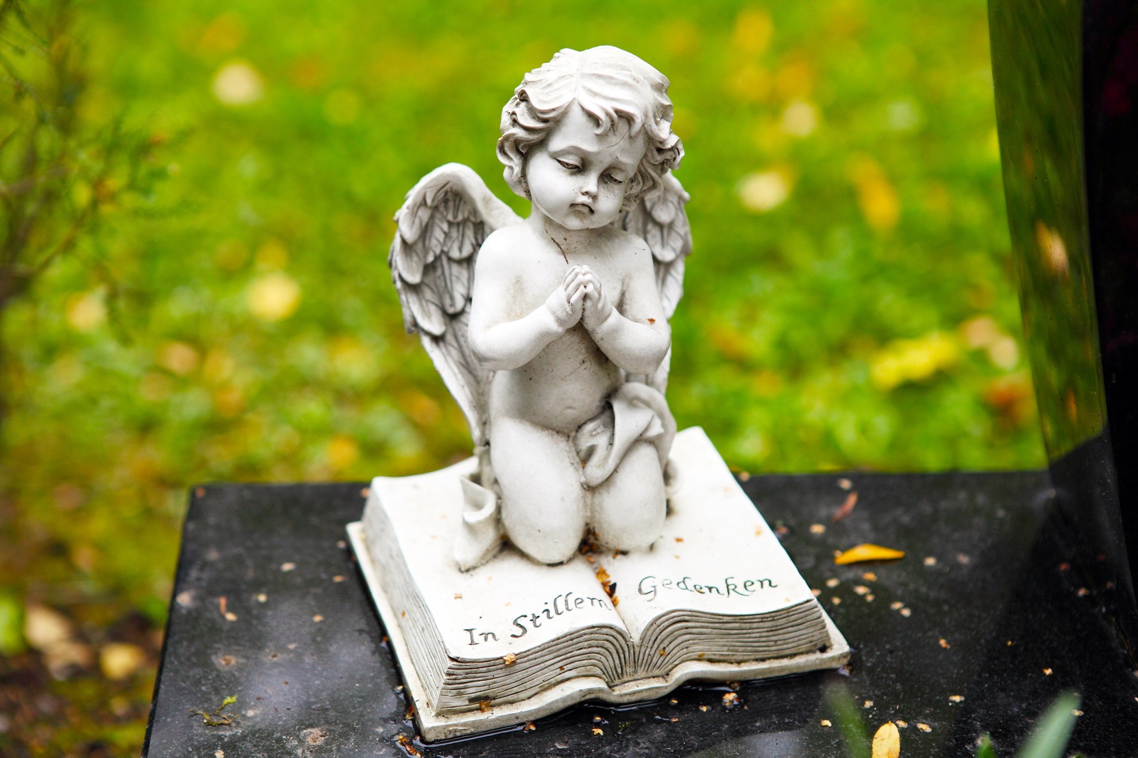 Querubín en cementerio || Fuente: Shutterstock