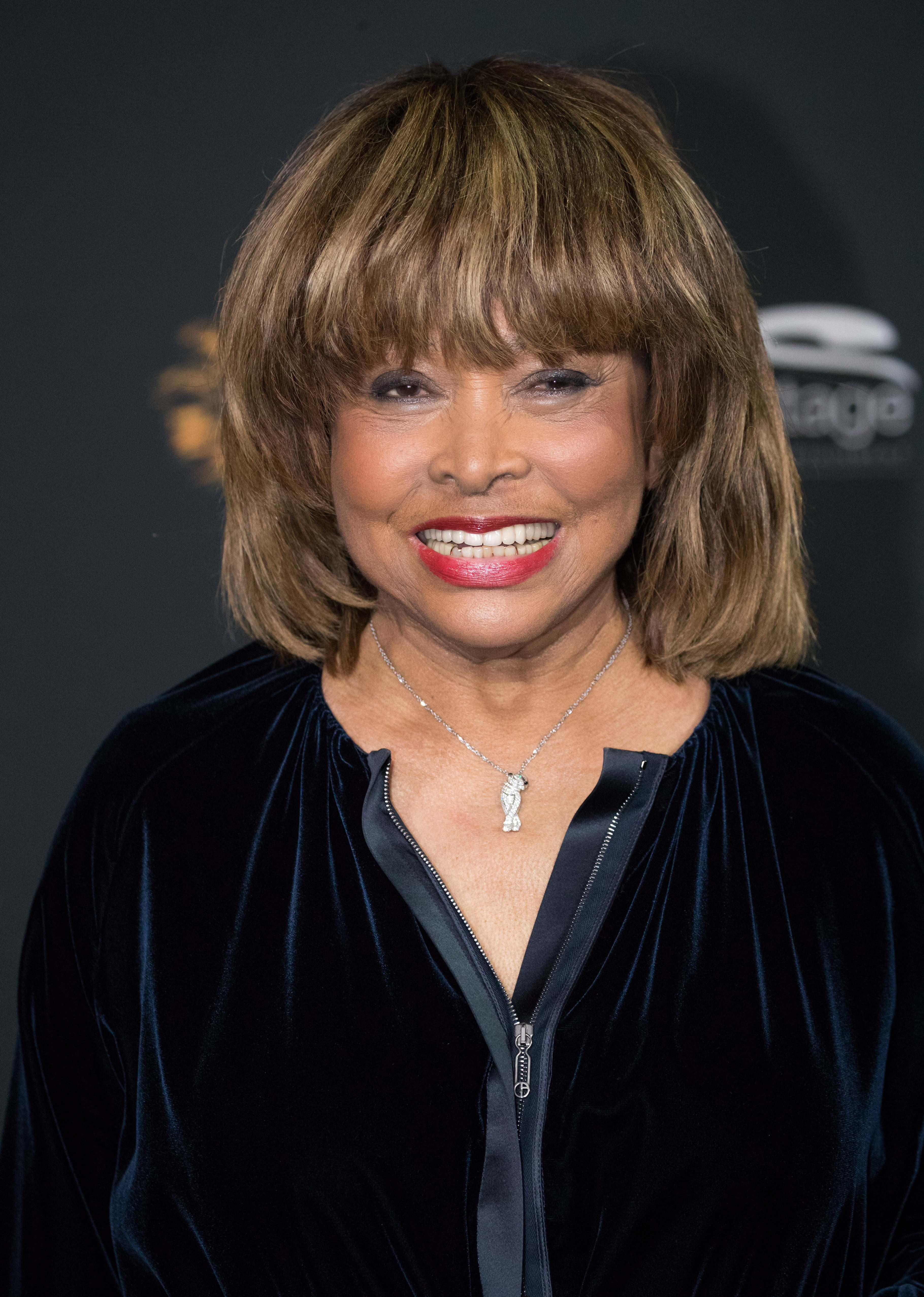 Tina Turner during a photocall for "TINA: The Tina Turner Musical" in Hamburg in 2018 | Source: Getty Images