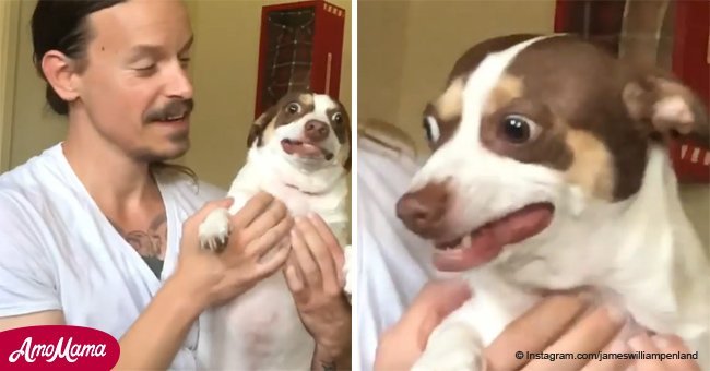 Rescue dog has hilarious reaction to being cuddled