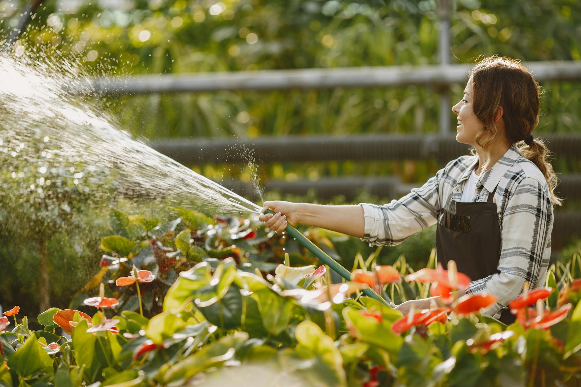 A woman watering plants | Source: Pexels