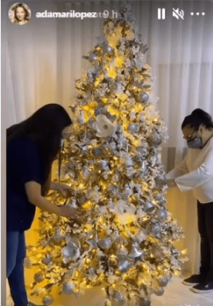 Árbol de Navidad iluminado de Adamari López. | Foto: Historias de Instagram/adamarilopez