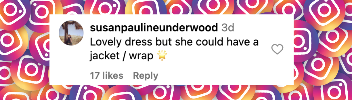 A netizen's comment on Harper Beckham's silky pink dress posted on September 2024 | Source: Instagram/hellocanadamag