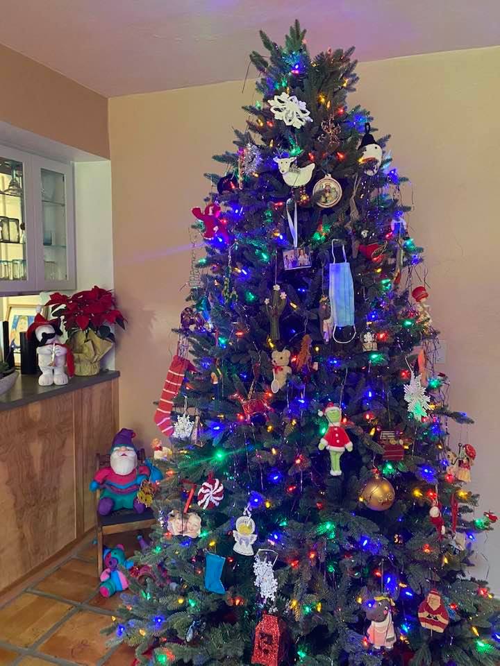 A Christmas tree is seen in Nancy Guthrie's Tucson, Arizona house, dated 2020 | Facebook/nancy.guthrie.31