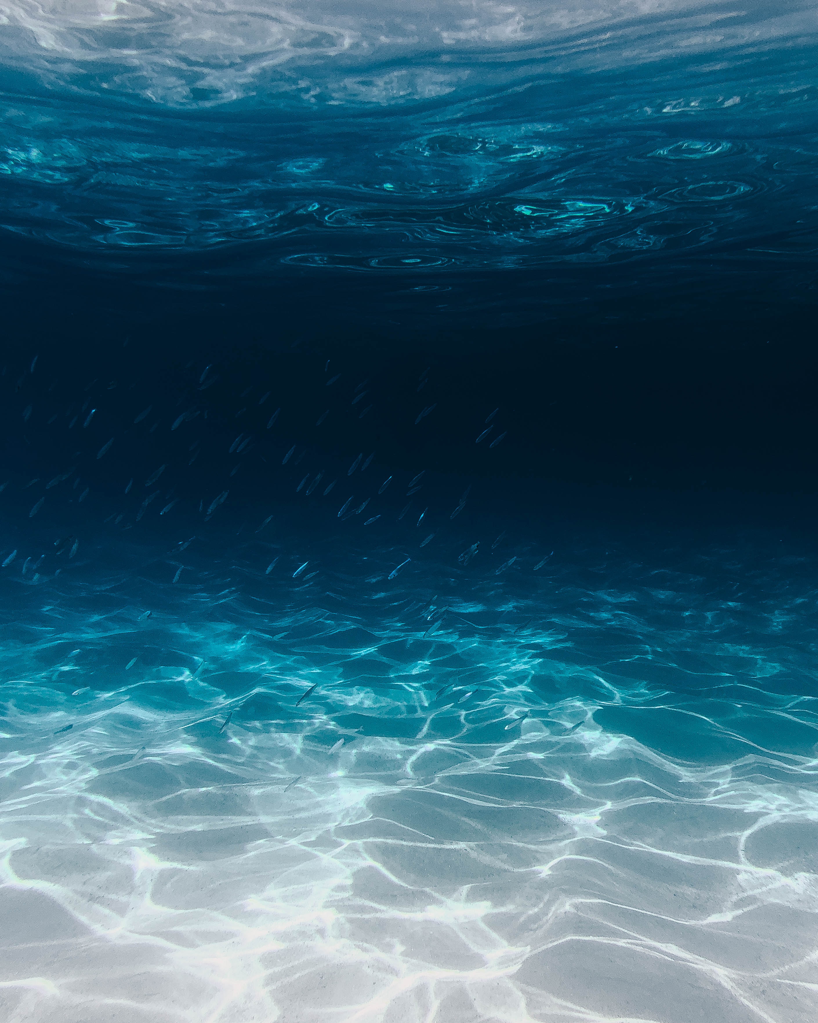 An underwater image.│ Source: Unsplash