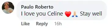 A screenshot of a comment talking about Claudette Dion's health update concerning her sister posted on August 31, 2023 | Source: Facebook/Daily Mail