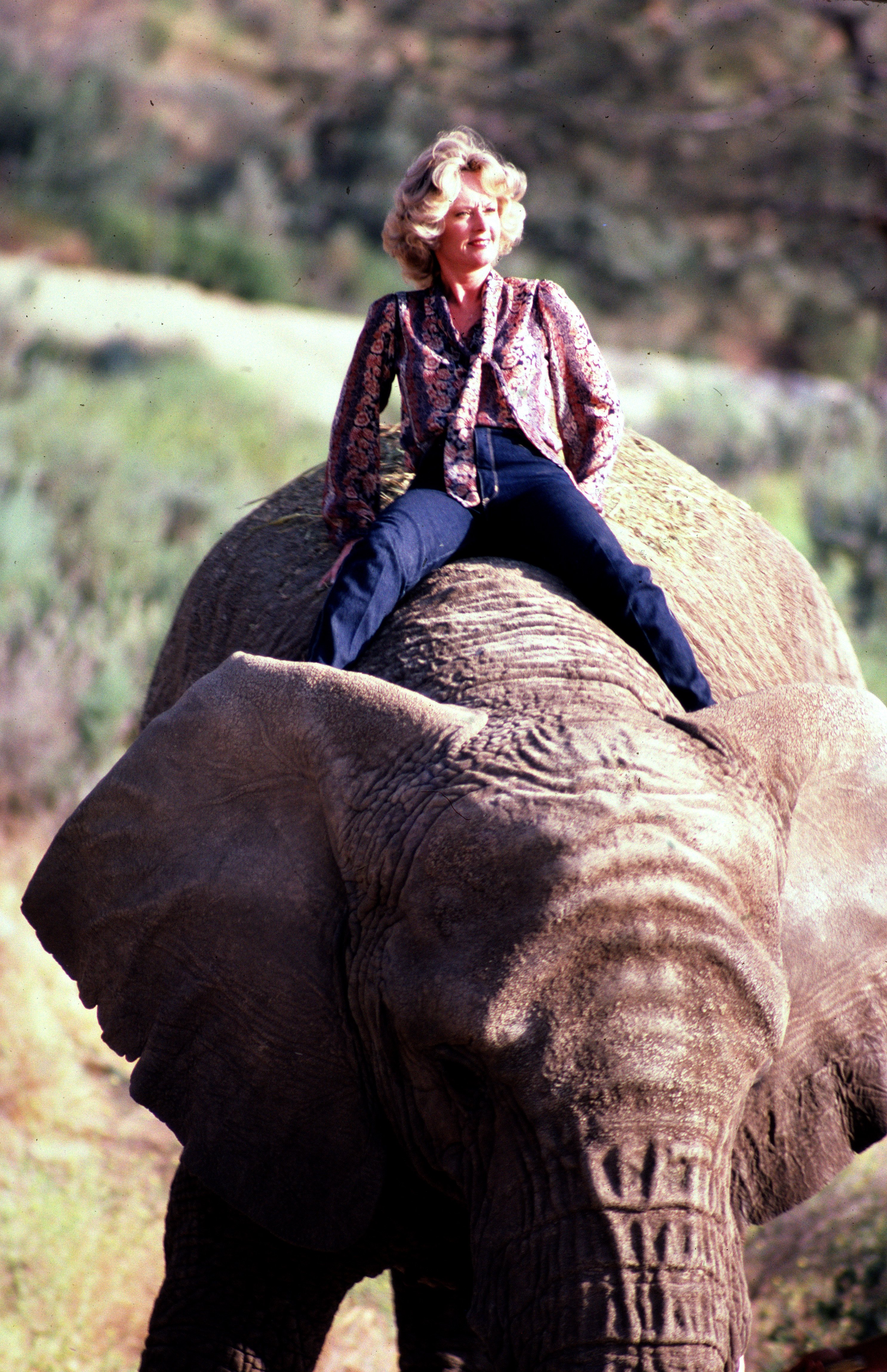 Actress Tippi Hedren sits astride an Elephant at her Saugus Animal reserve November 17, 1983