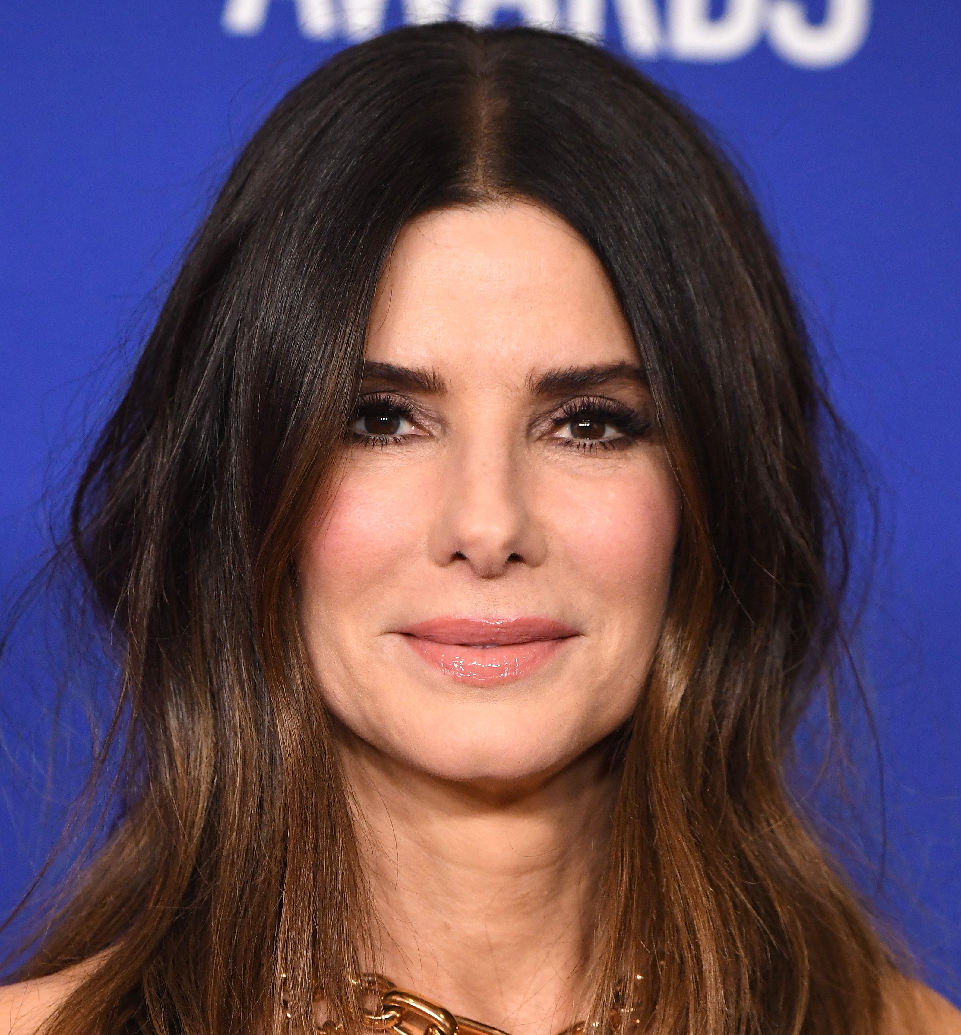 Actress Sandra Bullock posing in the press room at the 77th Annual Golden Globe Awards at The Beverly Hilton Hotel on January 05, 2020 in Beverly Hills, California. | Source: Getty Images