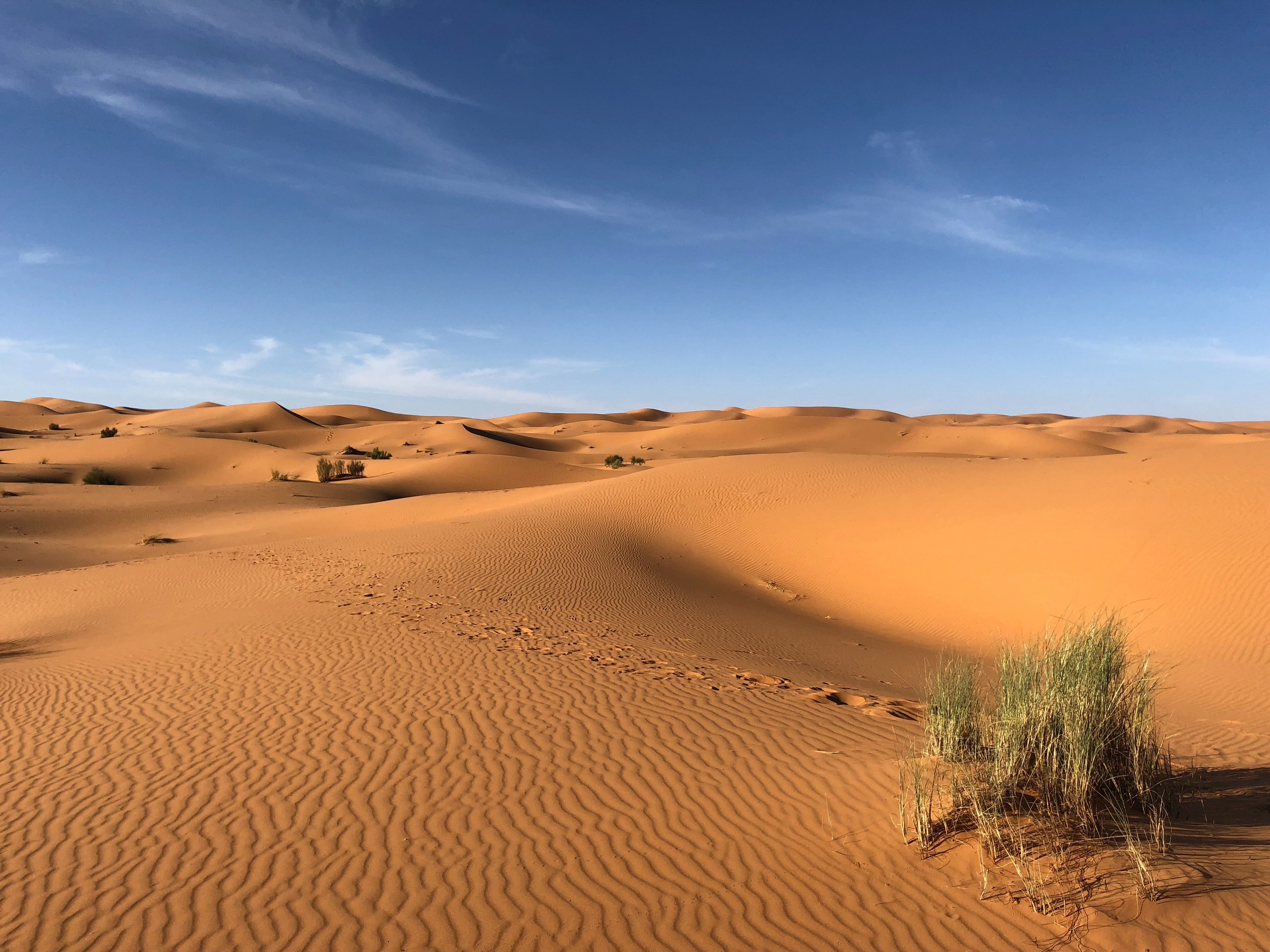 A picture of a desert. | Photo: Pexels