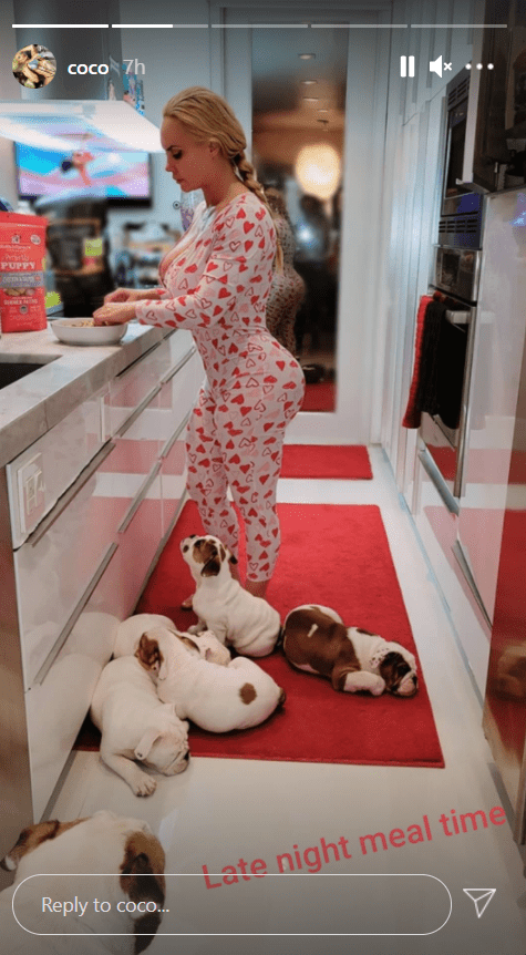 A picture of Coco Austin in her pajamas while making dinner with her puppies lying on the floor. | Photo: Instagram/Coco