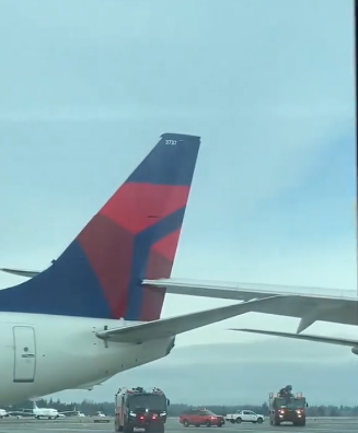 A  photo taken from a video showcasing the incident that occured between Delta Airline and Japan Airline dated February 5, 2025 | Source: Tiktok/@dailymail