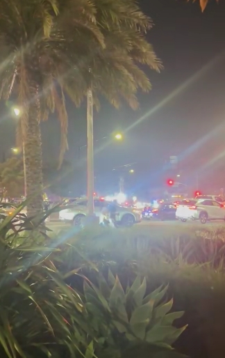 Viewed from behind a line of palm trees, flashing lights from multiple emergency response units stretched across the intersection. With roads congested and sirens echoing, the city's response was swift but unable to erase the fear many experienced during those uncertain moments. | Source: TikTok/channel2nownews