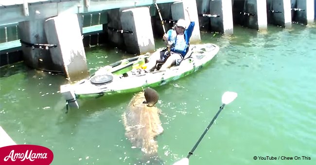 Wow! Cape Coral man reels in giant goliath grouper from a kayak