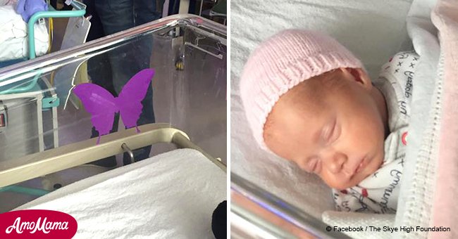 Here's what a purple butterfly on a baby's crib at the hospital means