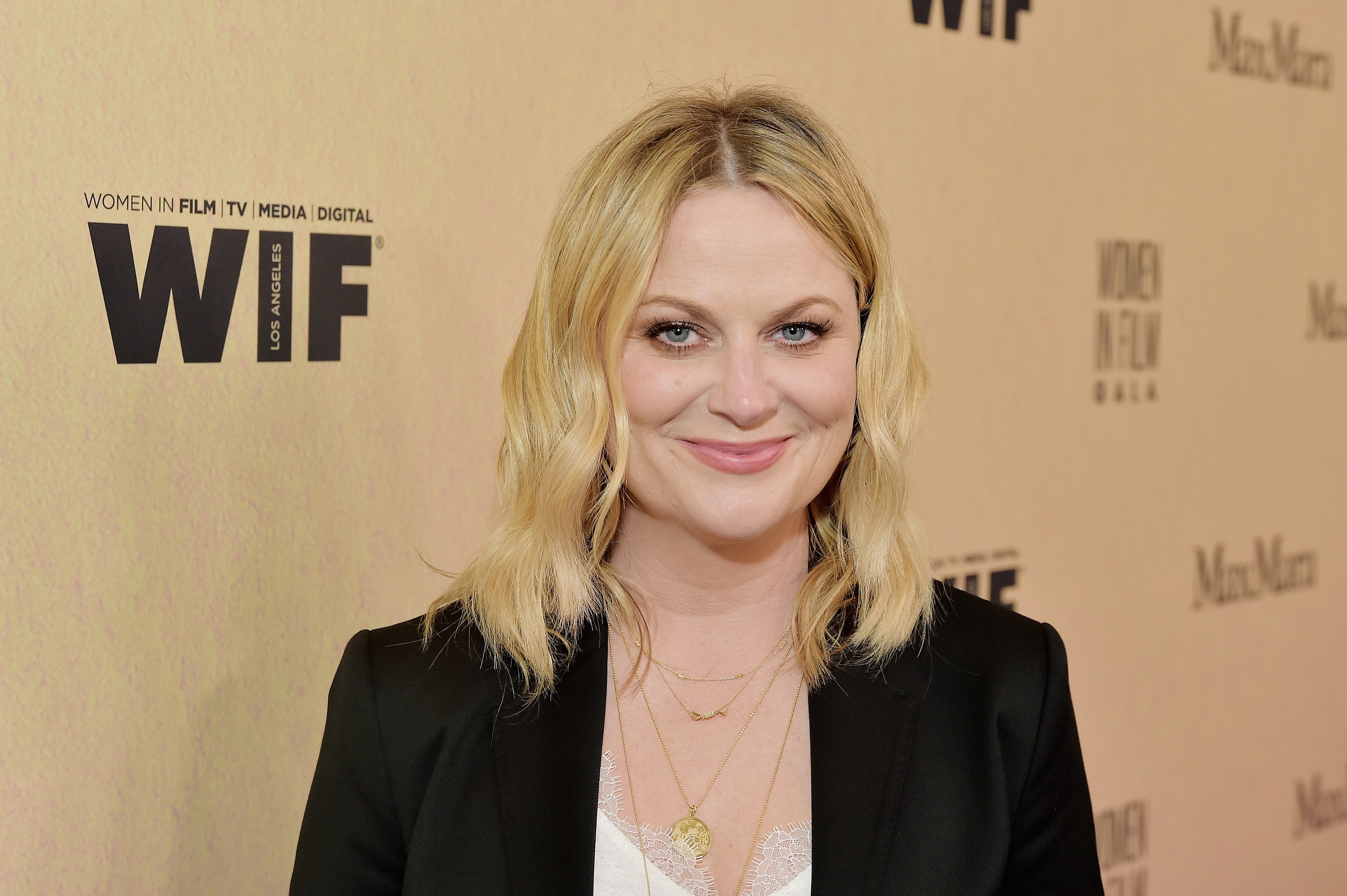 Amy Poehler attends the 2019 Women In Film Annual Gala at The Beverly Hilton on June 12, 2019 in Beverly Hills, California | Photo: GettyImages