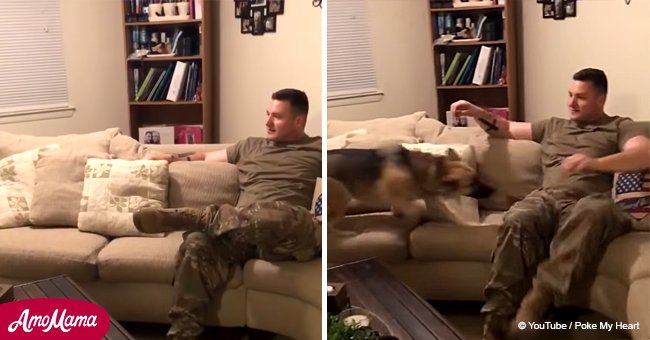Perro salta y llora de la emoción cuando su dueño, un soldado estadounidense, regresa a casa