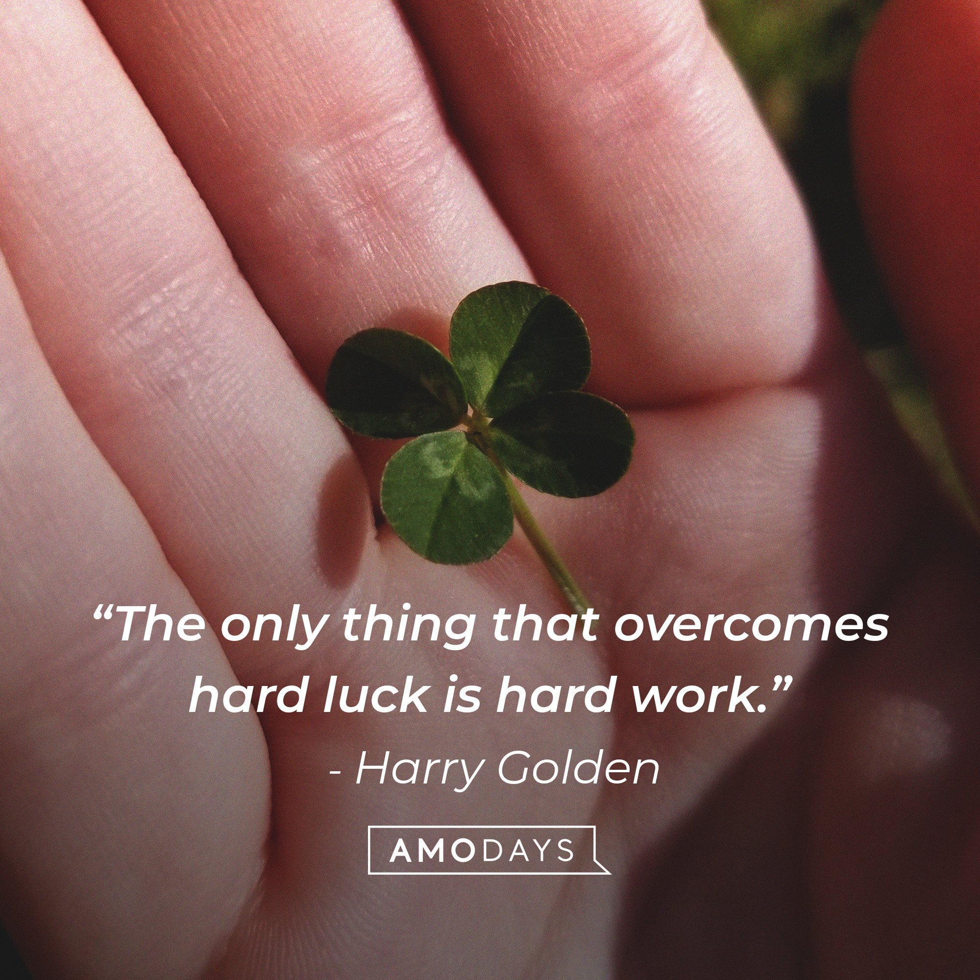 Harry Golden's quote: “The only thing that overcomes hard luck is hard work.” | Image: AmoDays
