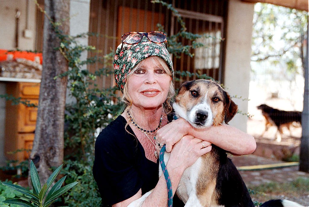 Brigitte Bardot, militante des droits des animaux, visite son refuge pour chiens "The Nice Dogs" de Carnoules le 7 octobre 2001 à Paris, France. | Source : Getty Images