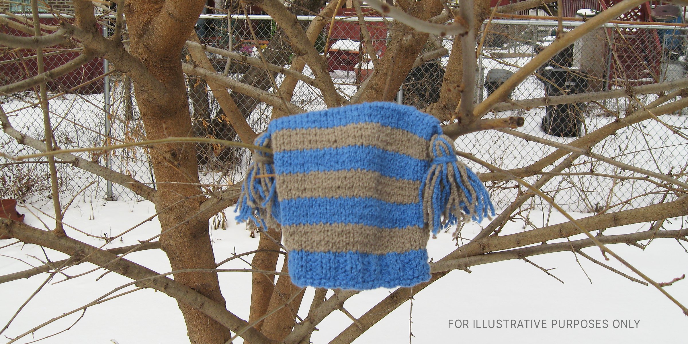 Flickr / moonrat42 (CC BY-SA 2.0) | A knitted cap hangs in a tree with snow in the background