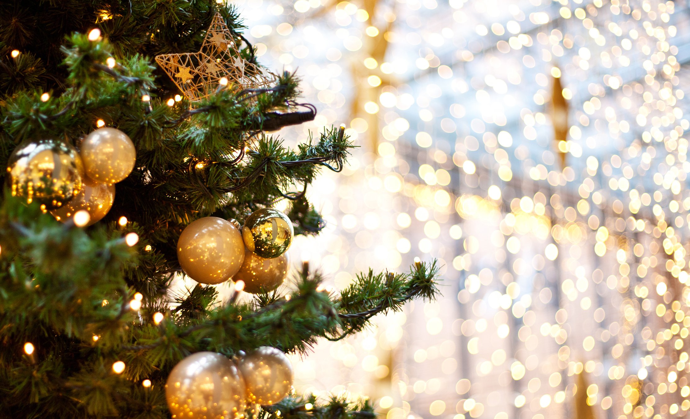Beschnittener Weihnachtsbaum mit Ornamenten bei Nacht | Quelle: Getty Images