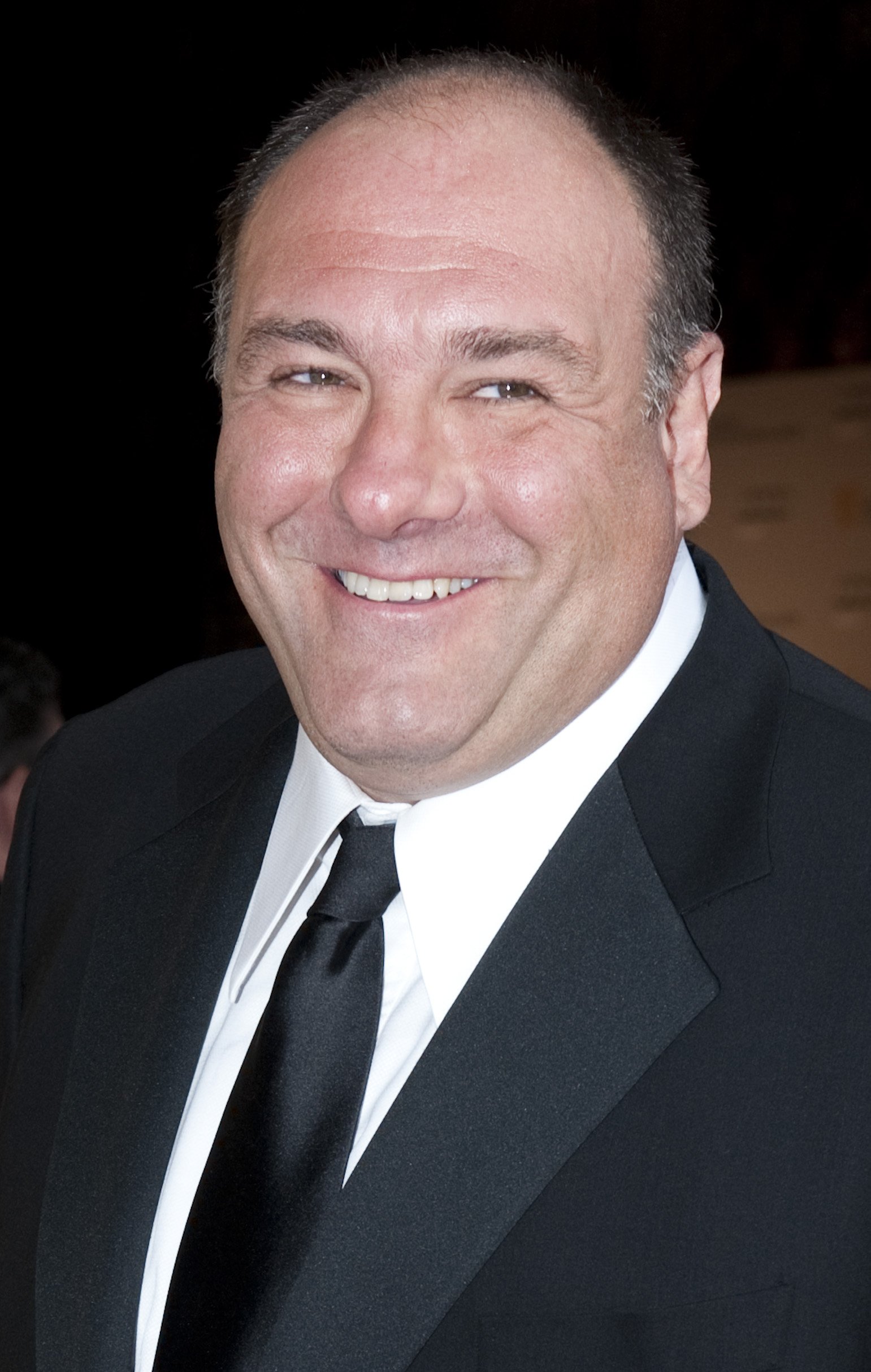 Gandolfini passed away in 2013, at the age of 51. Image credit: Getty/GlobalImagesUkraine