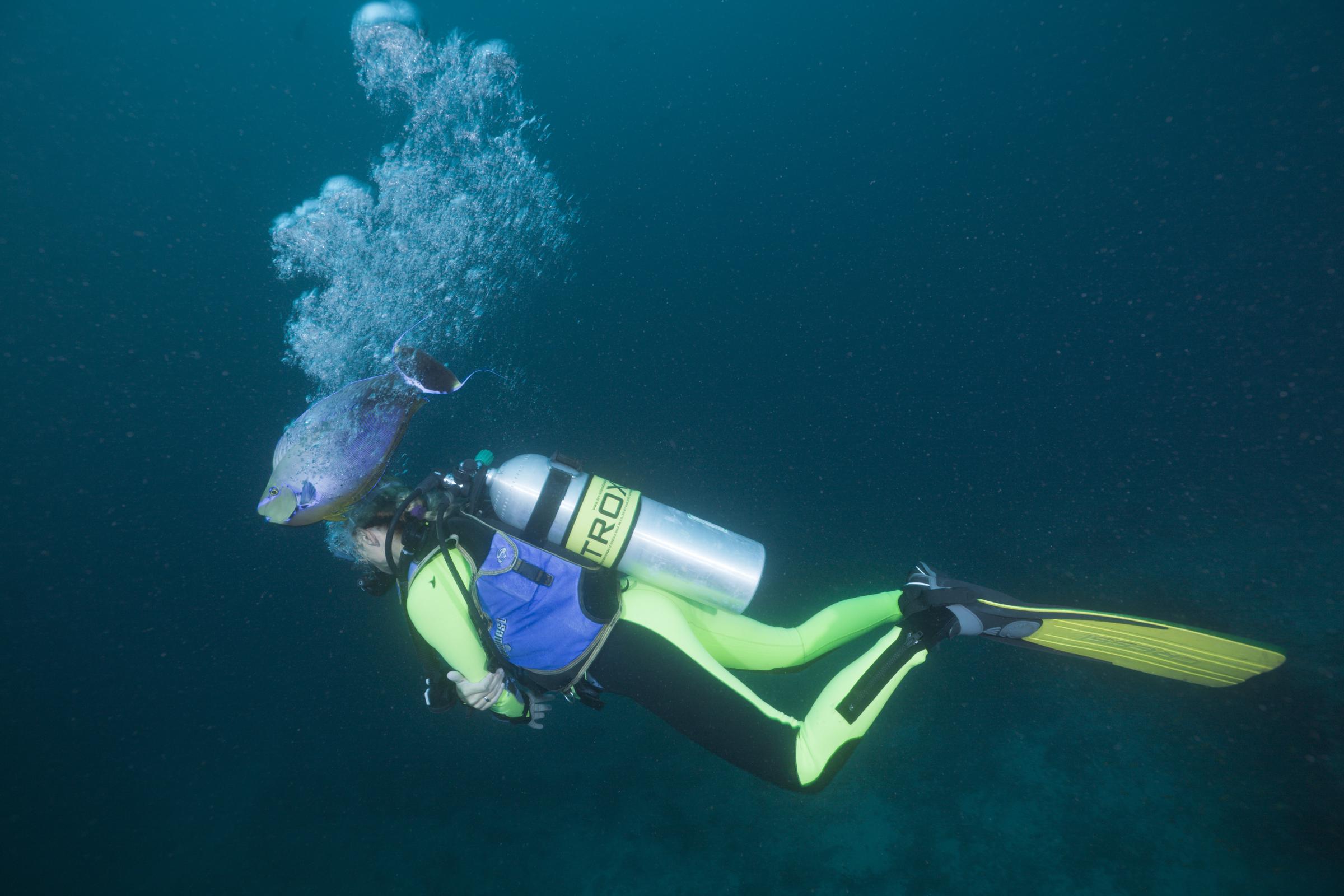 A diver exploring the waters inside the Kandooma Caves, South Male Atoll, Maldives | Source: Getty Images