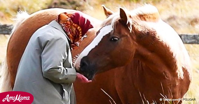 The Queen feeds her darling horses by hand in Scotland