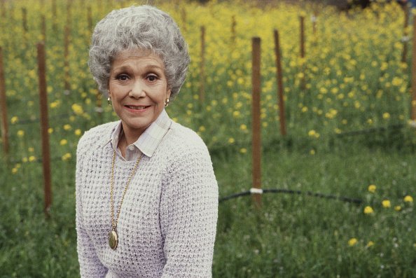 Jane Wyman poses outdoors by a field of yellow flowers in a publicity photo for the CBS primetime soap opera "Falcon Crest." | Photo: Getty Images
