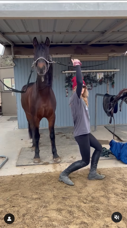 Sosie Bacon startles a horse | Source: Instagram/kevinbacon