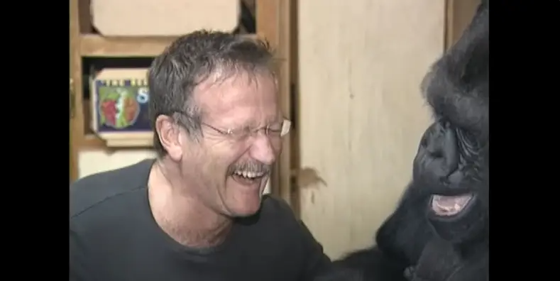 Robin Williams and Koko in 2001 | Source: YouTube/kokoflix