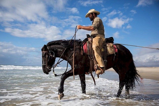 A man on a horse | Photo: Pixabay
