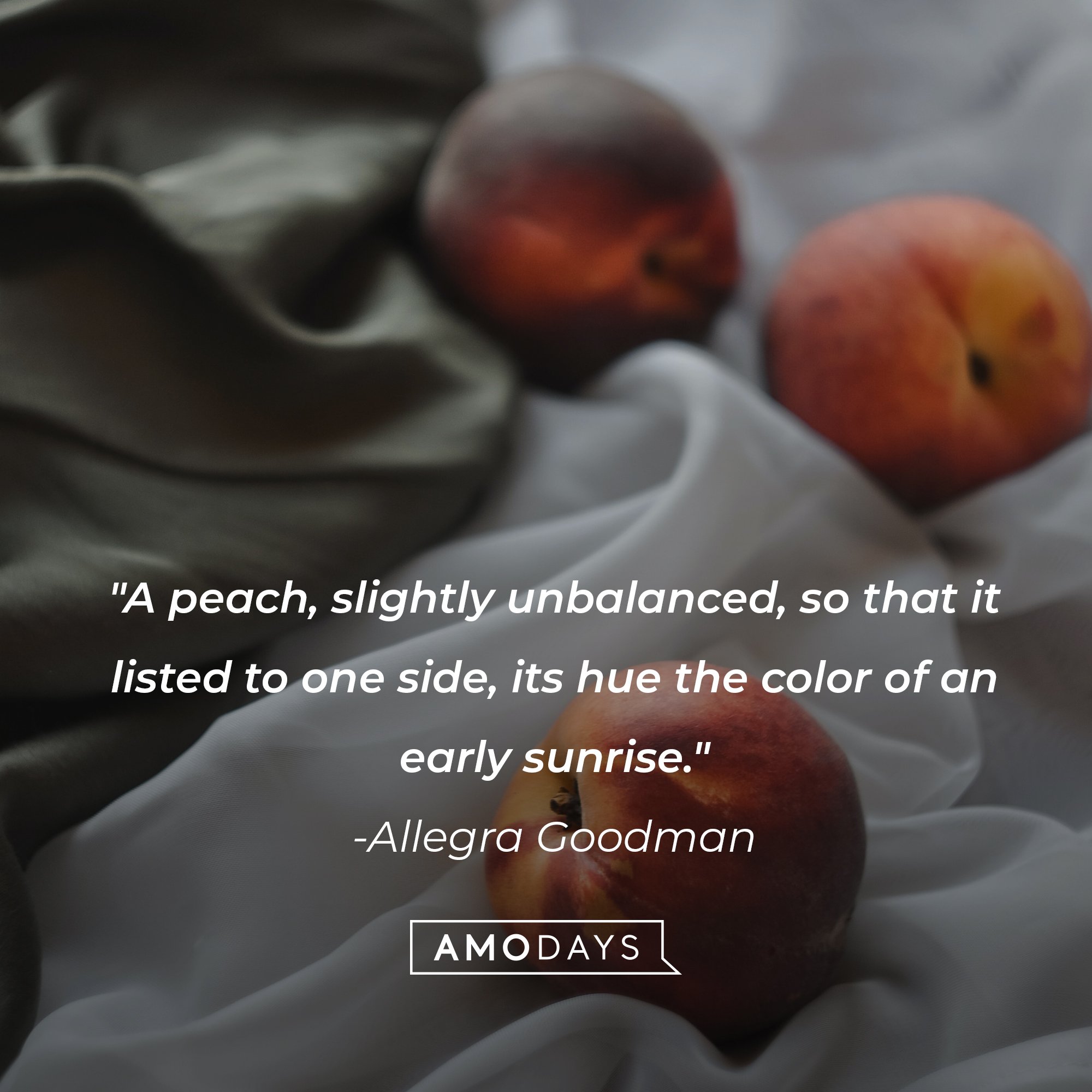 Allegra Goodman's quote: "A peach, slightly unbalanced, so that it listed to one side, its hue the color of an early sunrise." | Image: AmoDays