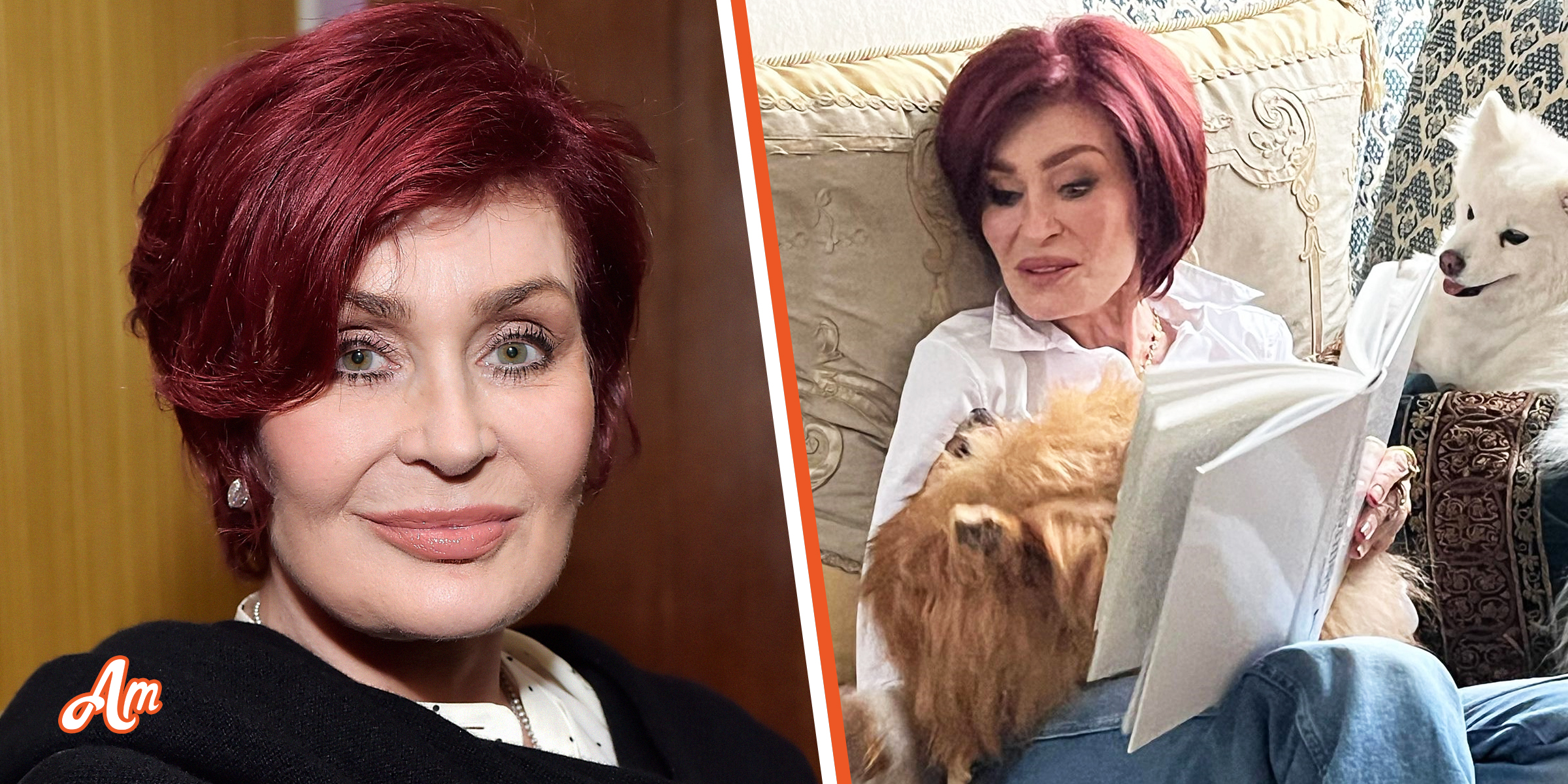 Sharon Osbourne Said to Look ‘Unwell’ Shedding ‘Too Much’ Weight after Trying to Slim Down for Years