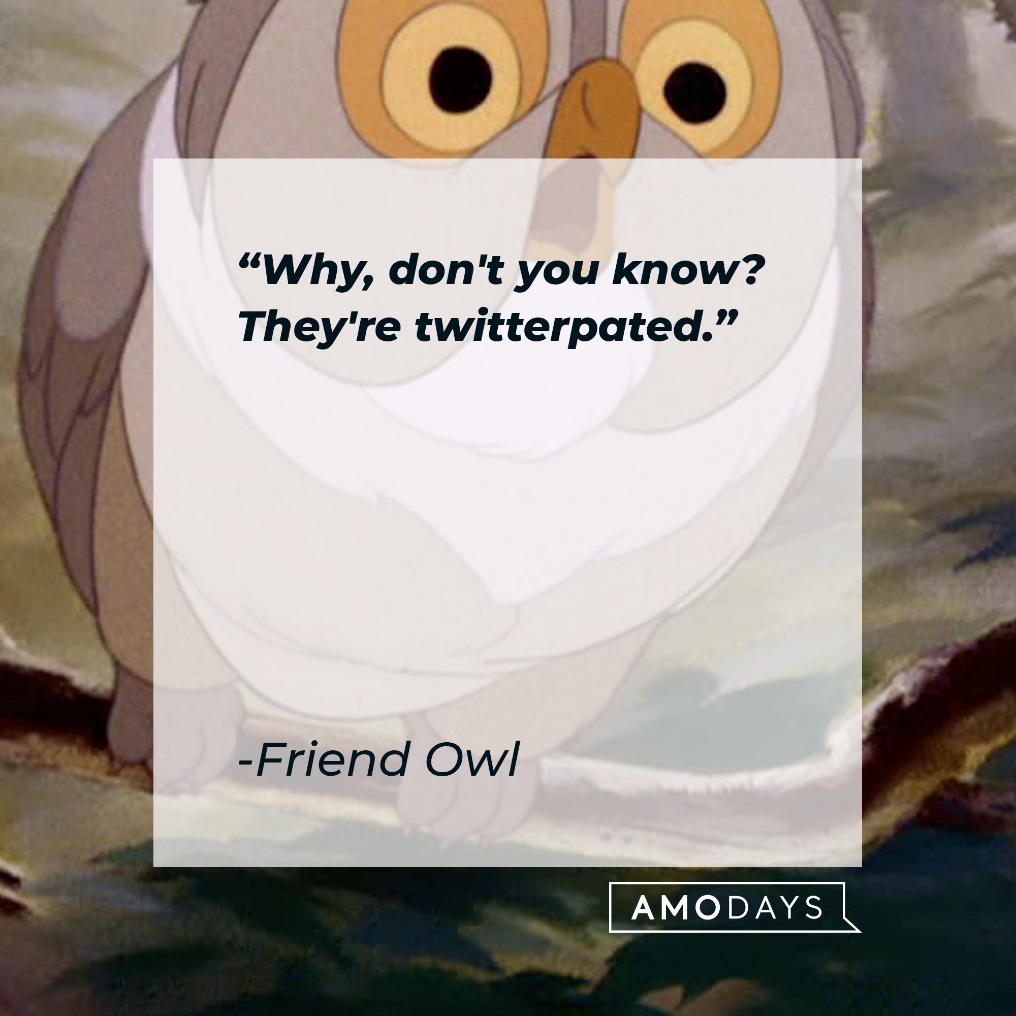 Friend Owl 's quote "Why, don't you know? They're twitterpated." | Source: facebook.com/DisneyBambi