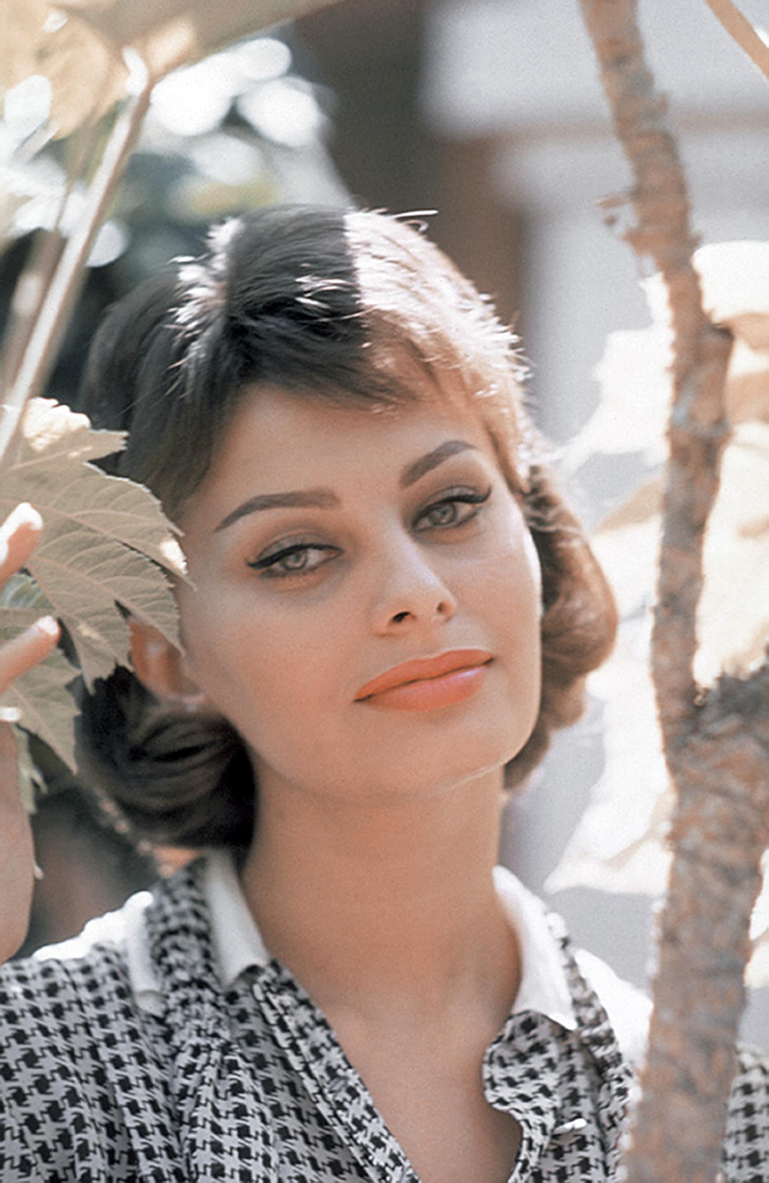 Sophia Loren posing for a portrait in Los Angeles, California, on August 20, 1958. | Source: Getty Images