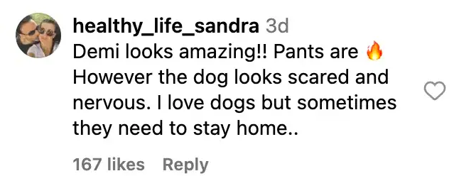 Fan comment about Demi Moore's dog, dated September 23, 2023 | Source: Instagram/demimoore