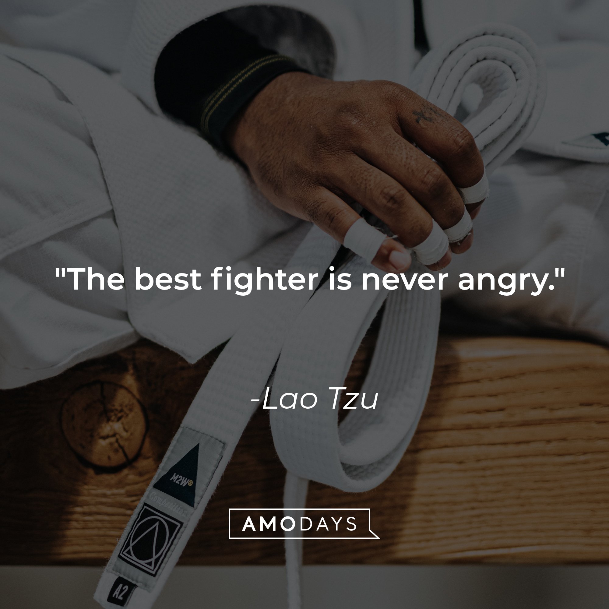 Lao Tzu quote: "The best fighter is never angry." | Image: AmoDays    