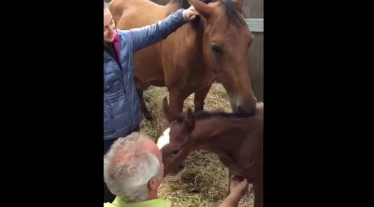Quelle: Facebook/Equeception Quelle: Facebook/Equeception